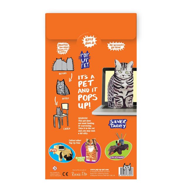 Rosie Flo’s Pop up Pet Silver Tabby - Image 4